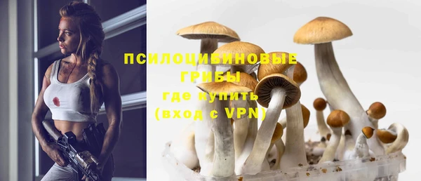 шишки Алексин