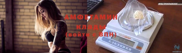 шишки Алексин
