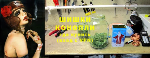 шишки Алексин