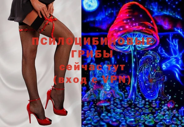 шишки Алексин