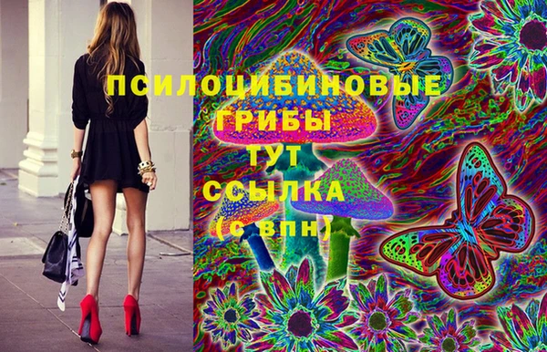 шишки Алексин