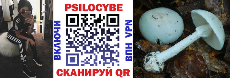 это официальный сайт  Бавлы  Псилоцибиновые грибы Psilocybe  цены  