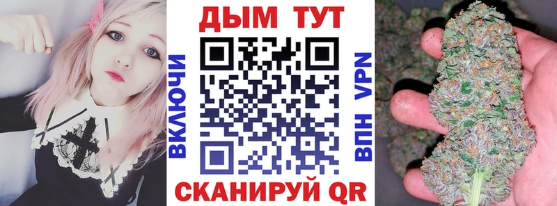 Бошки марихуана Amnesia  Бавлы 